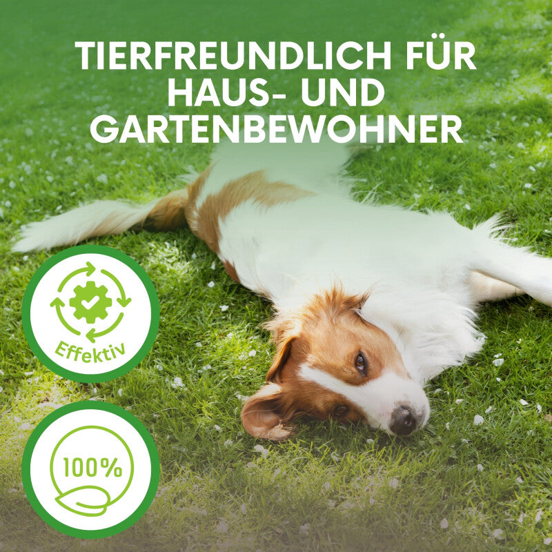  NemaTaurus® SC Nematoden | Gegen Maulwurfsgrillen, Wiesenschnaken, Erdraupen & Kohlschnaken