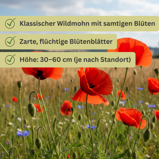  Papaver Rhoeas Klatschmohn Wildform 10g