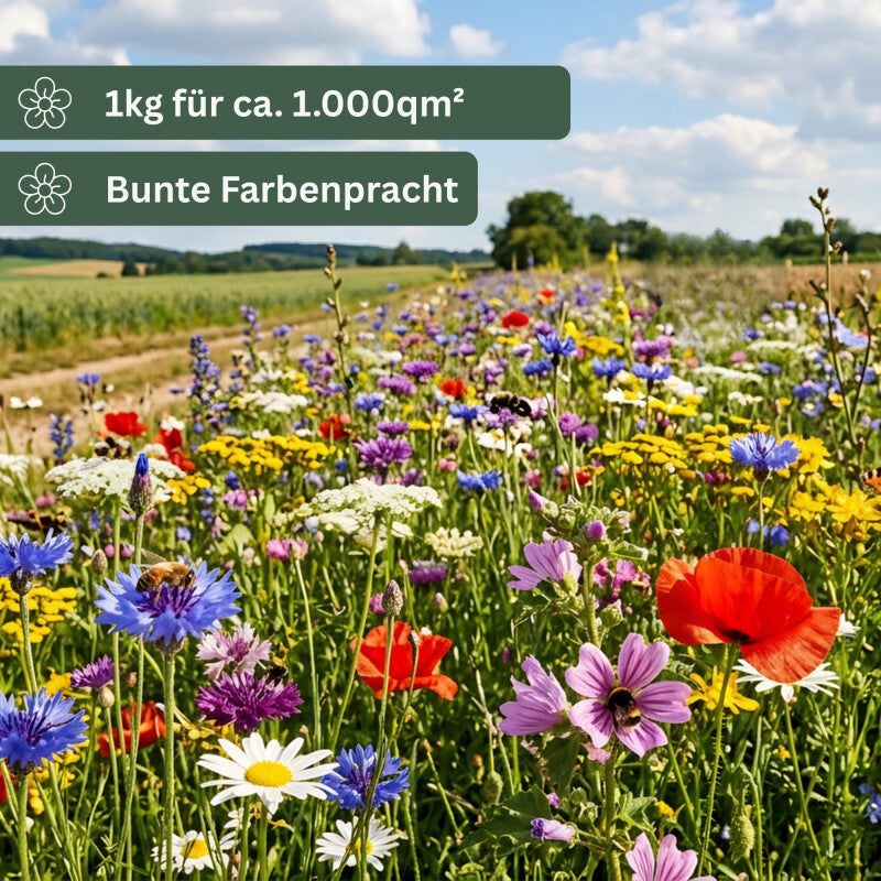  Blühende Landschaft Mehrjährig 1kg