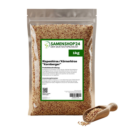  Rispenhirse/ Körnerhirse, Panicum Miliaceum, Inhalt: 1kg, Loses Saatgut
