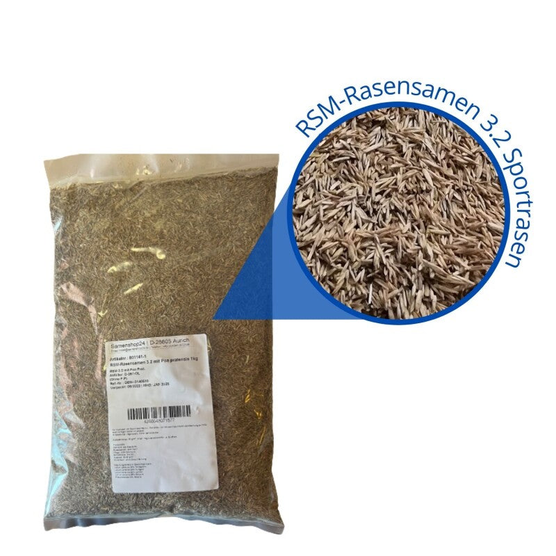  RSM-Rasensamen 3.2 Sportrasen Regeneration Mit Poa Pratensis 10kg