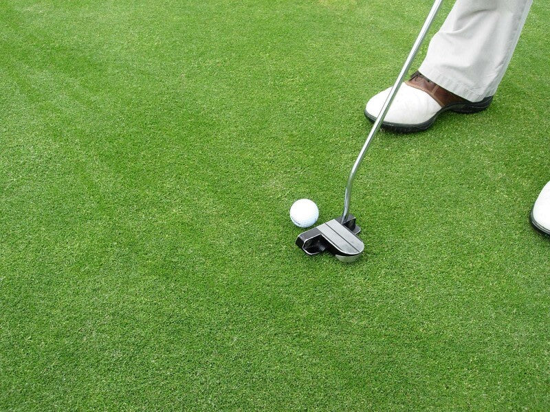  RSM-Rasensamen 4.1.1 Golfrasen Grün 10kg