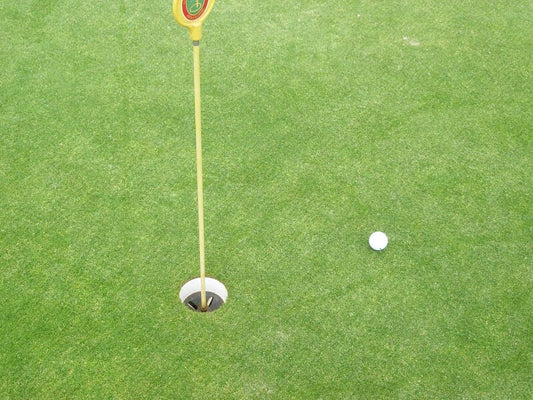  RSM-Rasensamen 4.1.2 Golfrasen Grün 10kg