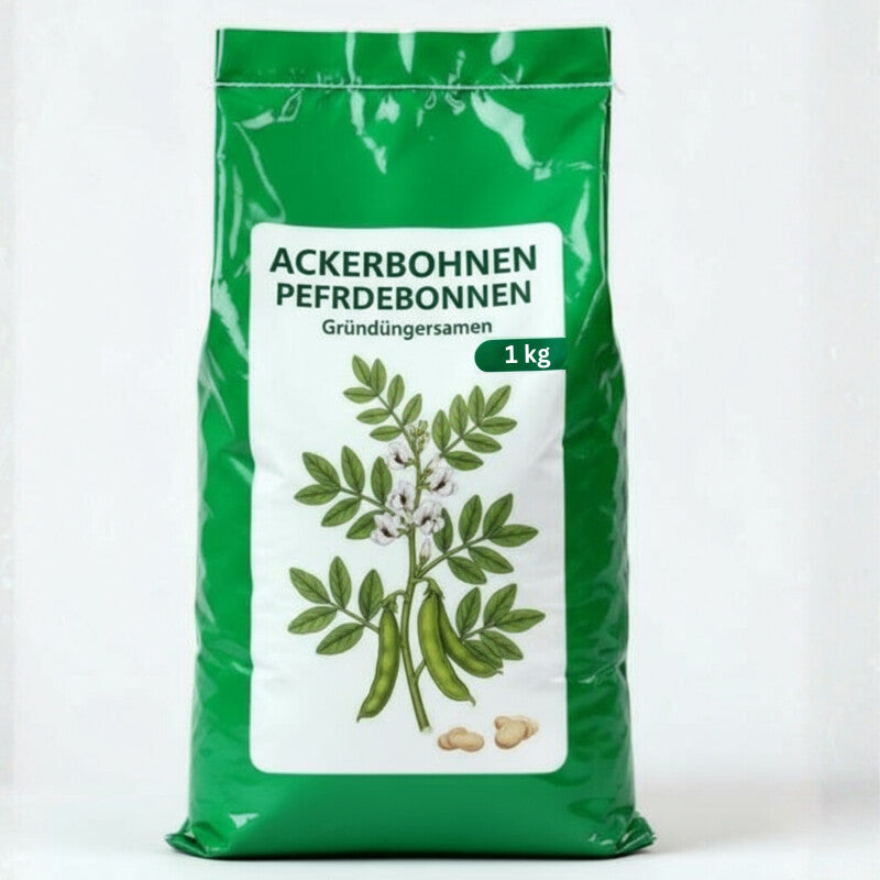  Samenshop24® Ackerbohnen Pferdebohnen Vicia Faba, Inhalt: 1kg Für Ca. 50m², Nicht Winterharte Gründüngerpflanzen, Tief Wurzelnd Und Stickstoffbindend