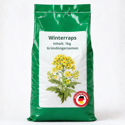  Samenshop24® Winterraps Bodenkur & Gründüngung Inhalt: 1kg
