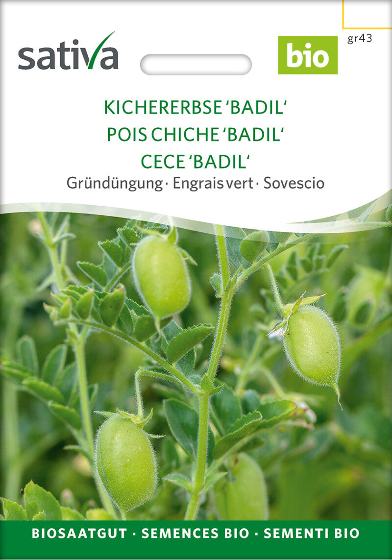  Gründüngung KICHERERBSE 'BADIL'