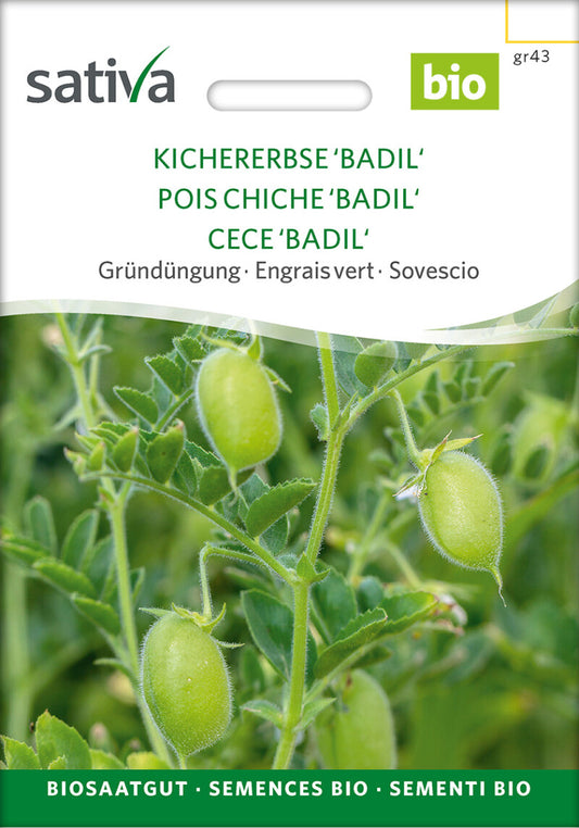 Gründüngung KICHERERBSE 'BADIL'