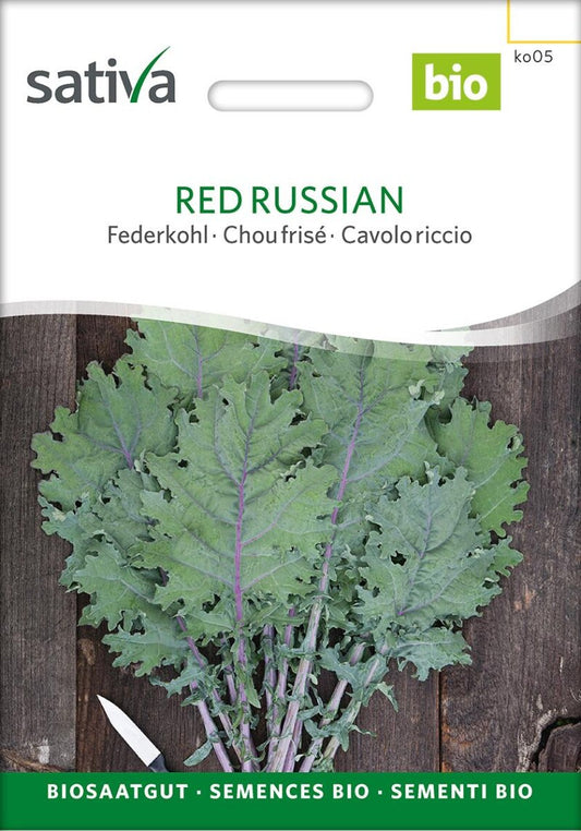  Red Russian Federkohl Süßer Und Zarter Als Grünkohl