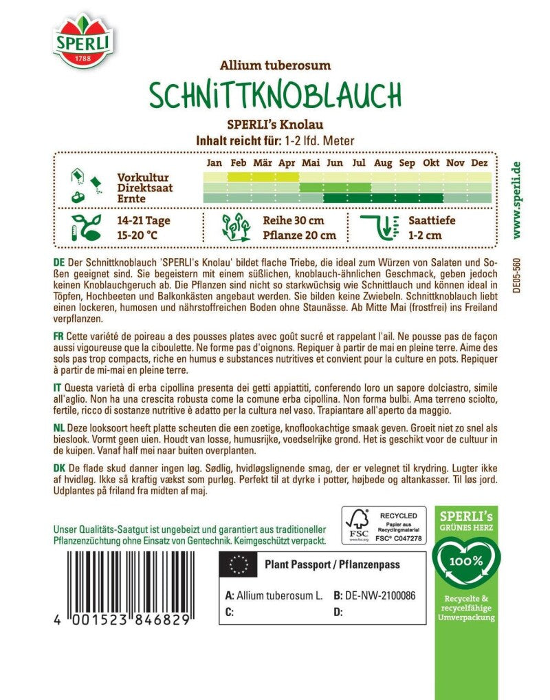  Schnittknoblauch SPERLI's Knolau, Mehrjährig, Kübelgeeignet Für Mehrfache Ernte, Sperli