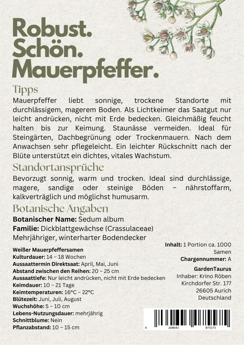  Weißer Mauerpfeffer Sedum Album Wildform Bodendecker Für Steingärten Heidegärten Und Dachbegrünung