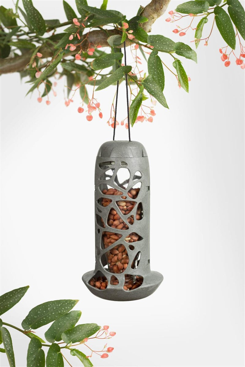  Hello Tara Futterspender Mit Glaseinsatz Für Wildvögel
