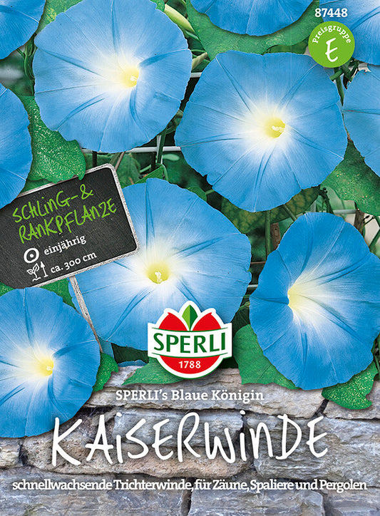  Kaiserwinde Sperli´s Blaue Königin