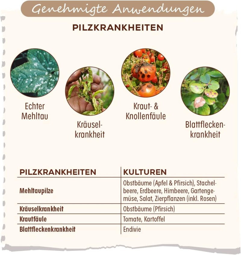  Solabiol Grundstoff Lecithin, Natürliche Abwehr Von Pilzkrankheiten An Pflanzen, 800 Ml Konzentrat