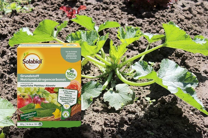  Solabiol Grundstoff Natriumhydrogencarbonat, Unterstützt Die Natürliche Abwehr Von Pilzkrankheiten, 350 G Für Bis Zu 100 L