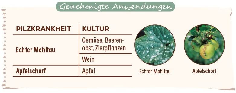  Solabiol Grundstoff Natriumhydrogencarbonat, Unterstützt Die Natürliche Abwehr Von Pilzkrankheiten, 350 G Für Bis Zu 100 L
