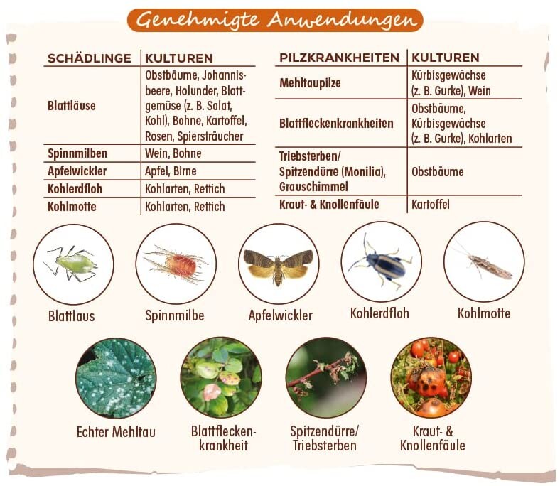  Solabiol Grundstoff Urtica Spray, (Inhalt: 1 Liter), Unterstützt Die Natürliche Abwehr Von Schädlingen Und Pilzkrankheiten