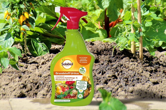 Solabiol Grundstoff Urtica Spray, (Inhalt: 1 Liter), Unterstützt Die Natürliche Abwehr Von Schädlingen Und Pilzkrankheiten