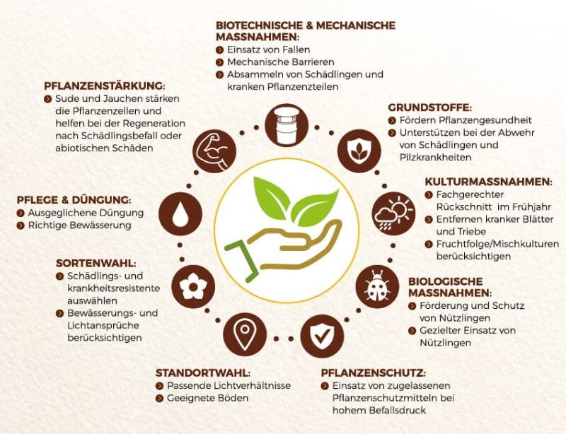  Solabiol Grundstoff Urtica, Konzentrat (Inhalt 1 Liter), Unterstützt Die Natürliche Abwehr Von Schädlingen Und Pilzkrankheiten