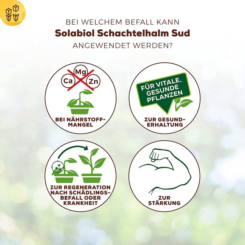  Solabiol Schachtelhalm Sud, Biologisches Pflanzenstärkungsmittel 1 Liter