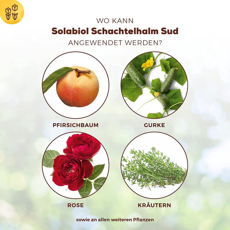  Solabiol Schachtelhalm Sud, Biologisches Pflanzenstärkungsmittel 1 Liter