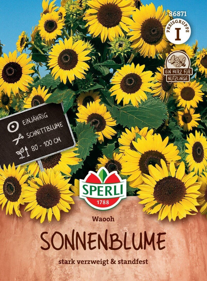  Sonnenblume Waooh, Stark Verzweigt, Standfeste Schnittblume, Ideal Für Kübel, Nektarspender