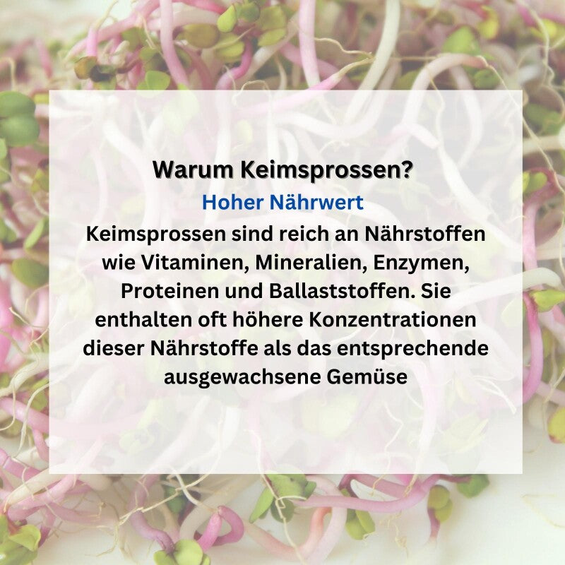  SPARANGEBOT BIO-Keimsprossen-Set 3-12 Sorten Große Auswahl Würziger Sorten