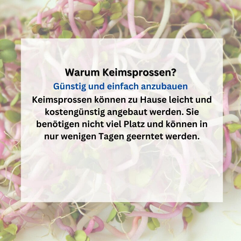  SPARANGEBOT BIO-Keimsprossen-Set 3-12 Sorten Große Auswahl Würziger Sorten