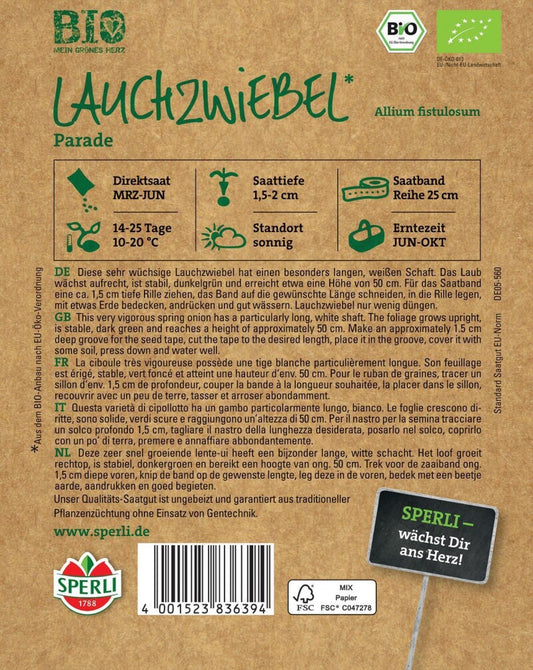 BIO Lauchzwiebel (Saatband), überzeugt Mit Einem Besonders Ausgeprägten Langem Aber Stabilem Schaft