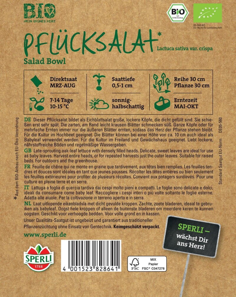  BIO Pflücksalat Grün, Bildet Als Eichblattsalat Große Lockere Köpfe Die Dicht Gefüllt Sind, Freiland Und Gewächshaus Geeignet