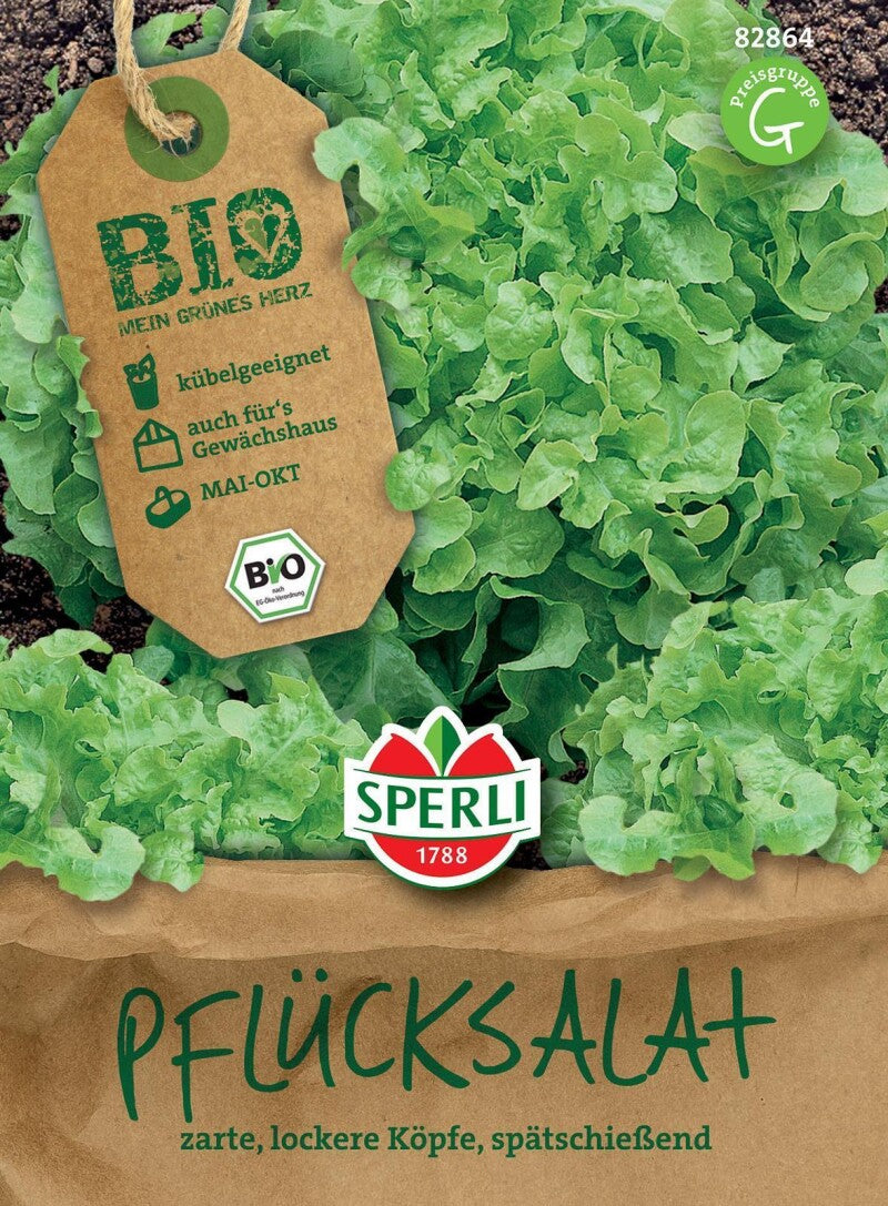  BIO Pflücksalat Grün, Bildet Als Eichblattsalat Große Lockere Köpfe Die Dicht Gefüllt Sind, Freiland Und Gewächshaus Geeignet