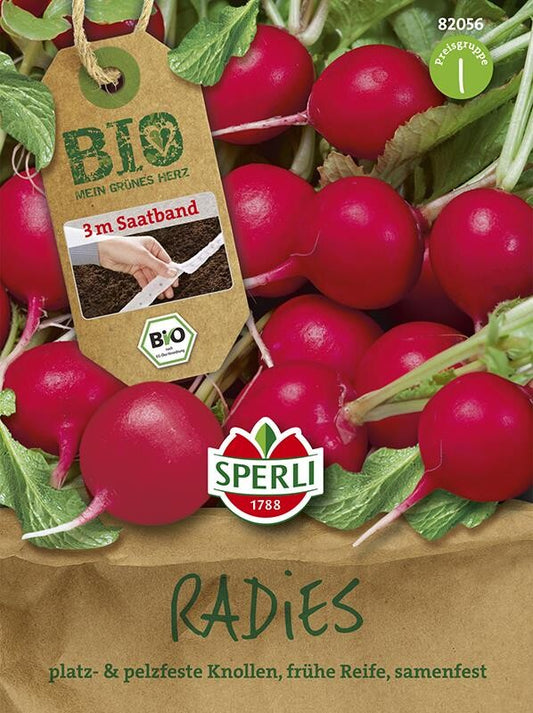 BIO-Radies Rudolf 3 M Saatband