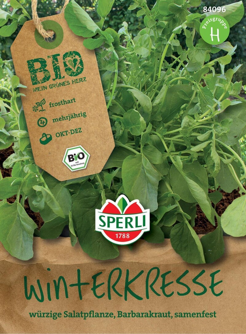  BIO Winterkresse, Würzig- Scharf Im Geschmack, Damit Ideal Für Liebhaber Von Wasabi