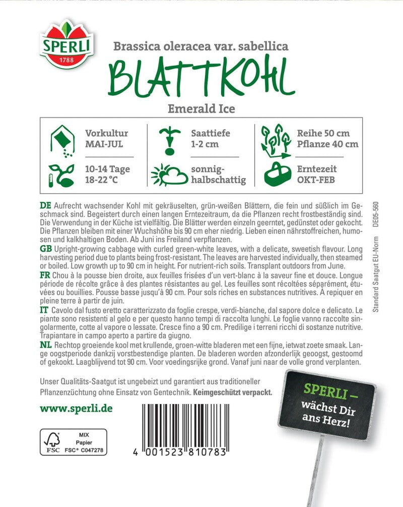  Blattkohl Emerald Ice, Aufrecht Wachsender Kohl Mit Gekräuselten Grün-weißen Blättern, Langer Erntezeitraum