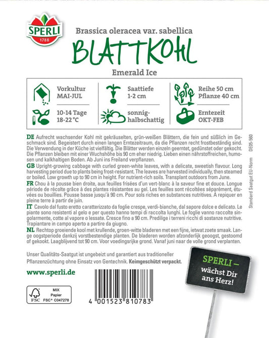  Blattkohl Emerald Ice, Aufrecht Wachsender Kohl Mit Gekräuselten Grün-weißen Blättern, Langer Erntezeitraum