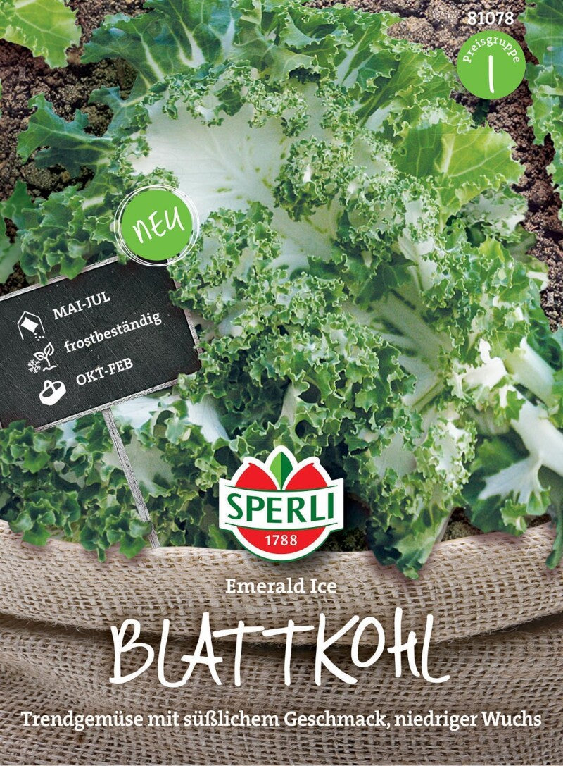  Blattkohl Emerald Ice, Aufrecht Wachsender Kohl Mit Gekräuselten Grün-weißen Blättern, Langer Erntezeitraum