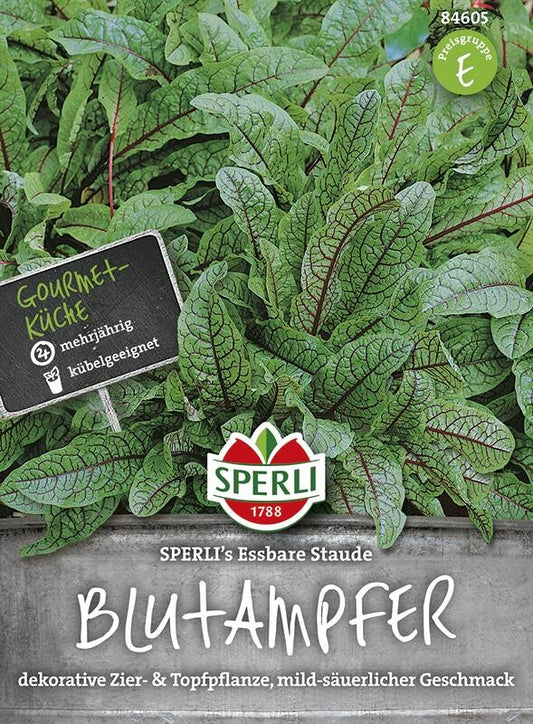  Blutampfer SPERLING`s Essbare Staude