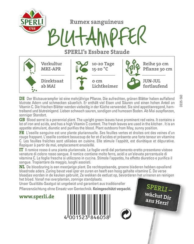  Blutampfer SPERLING`s Essbare Staude