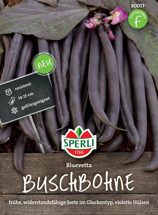  Buschbohne Bluevetta, Reifen Früh Und Schmecken Sehr Aromatisch, Von Natur Aus Widerstandsfähig Und Robust