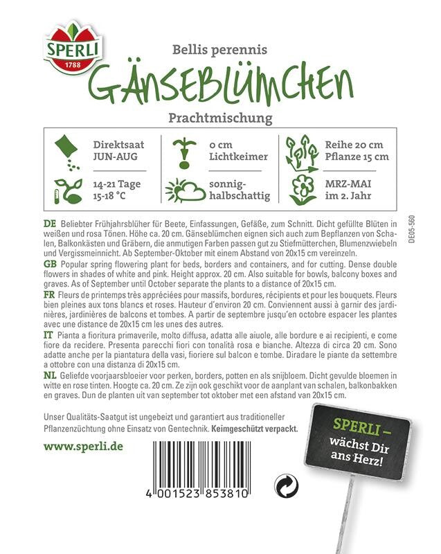  Gänseblümchen (Bellis) Prachtmischung