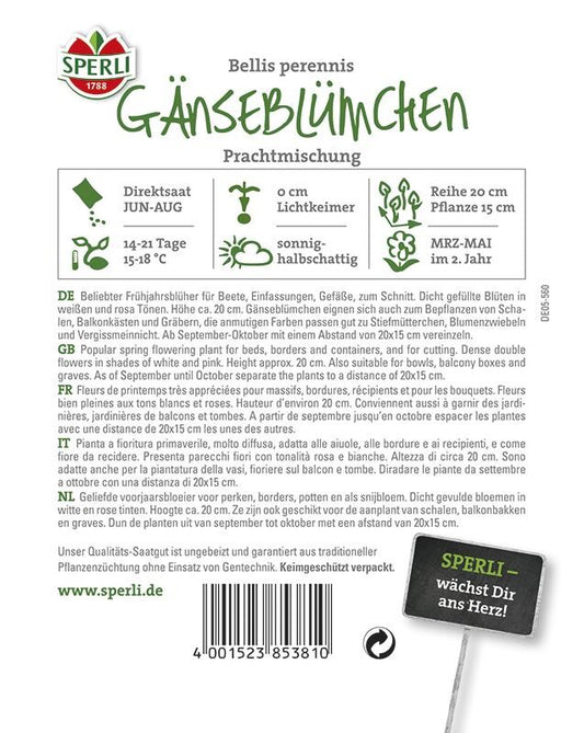  Gänseblümchen (Bellis) Prachtmischung