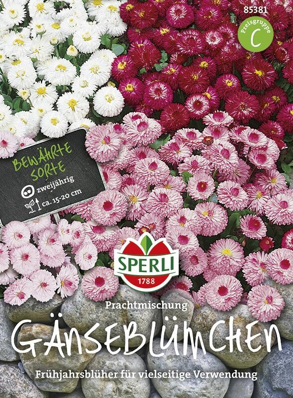 Gänseblümchen (Bellis) Prachtmischung