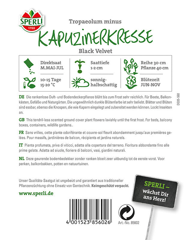  Kapuzinerkresse Black Velvet, Sorte Mit Fast Schwarzen Blütenblättern, Essbar