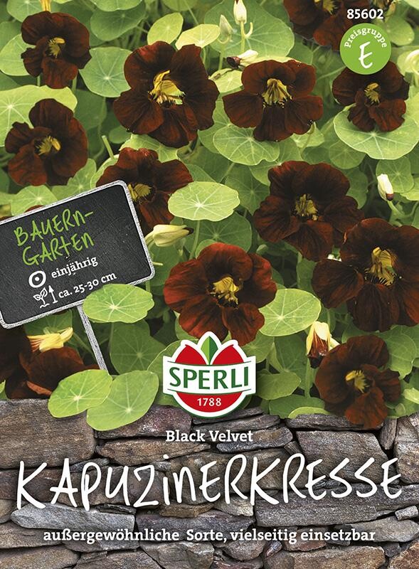  Kapuzinerkresse Black Velvet, Sorte Mit Fast Schwarzen Blütenblättern, Essbar