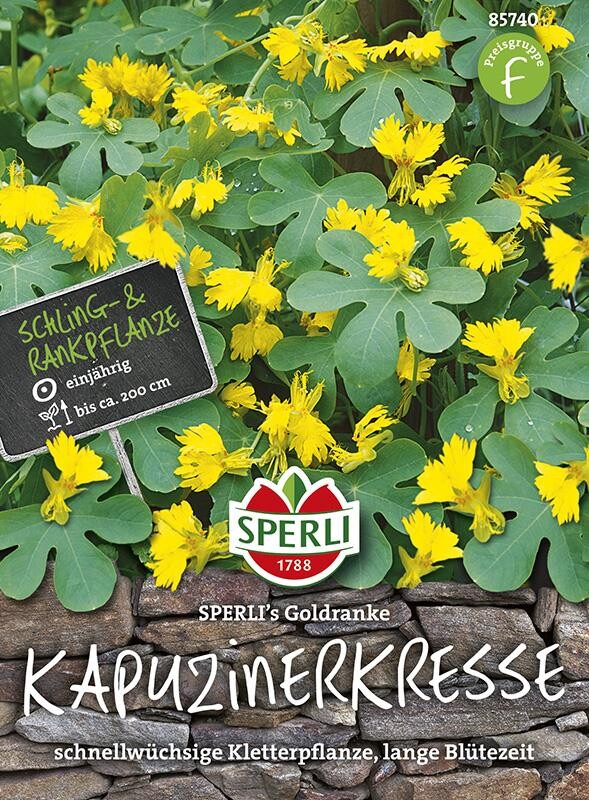  Kapuzinerkresse SPERLING´s Goldranke (Kanarische Kresse)