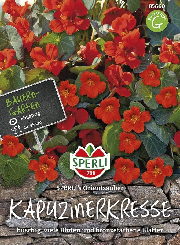  Kapuzinerkresse Orientzauber