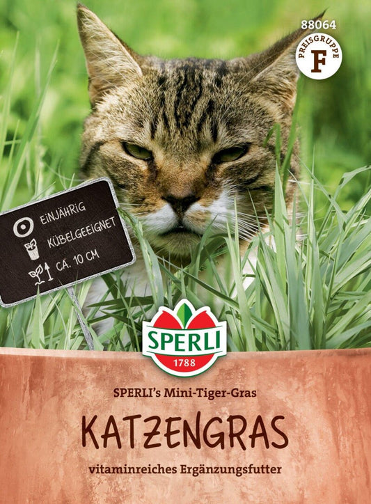  Katzengras SPERLI's Mini-Tiger-Gras Regt Die Verdauung An