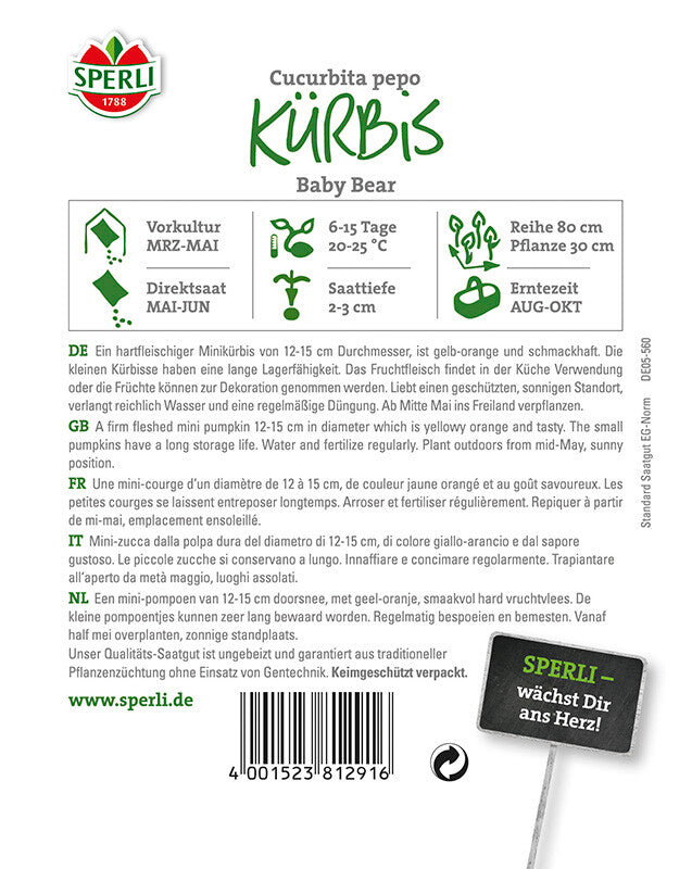  Kürbis Baby Bear