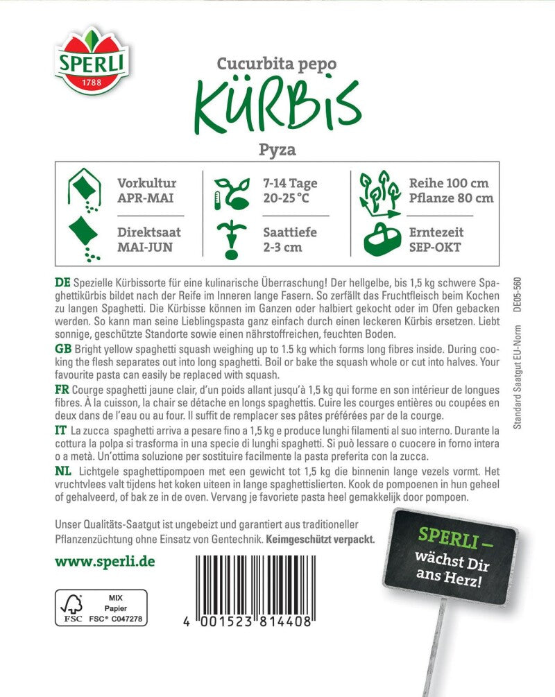  Kürbis Pyza, Hellgelber Bis 1,5 Kg Schwerer Spaghettikürbis