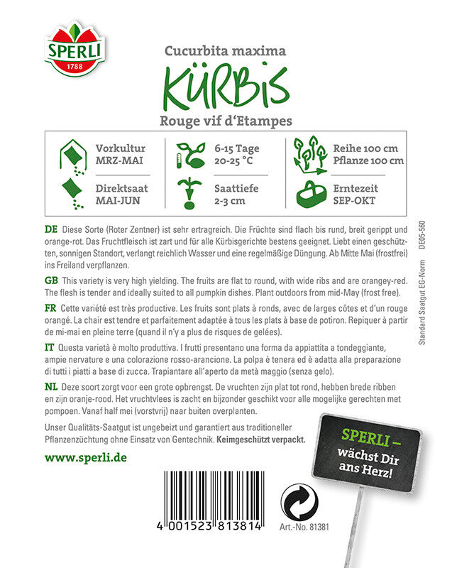  Kürbis Rouge Vif D’Etampes | Sehr Zartes Fruchtfleisch |für Kürbisgerichte Aller Art Geeignet