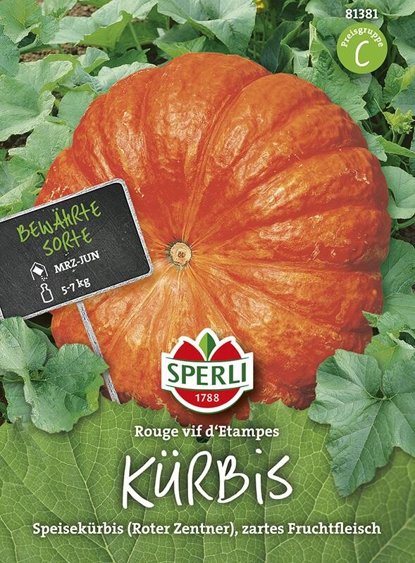  Kürbis Rouge Vif D’Etampes | Sehr Zartes Fruchtfleisch |für Kürbisgerichte Aller Art Geeignet